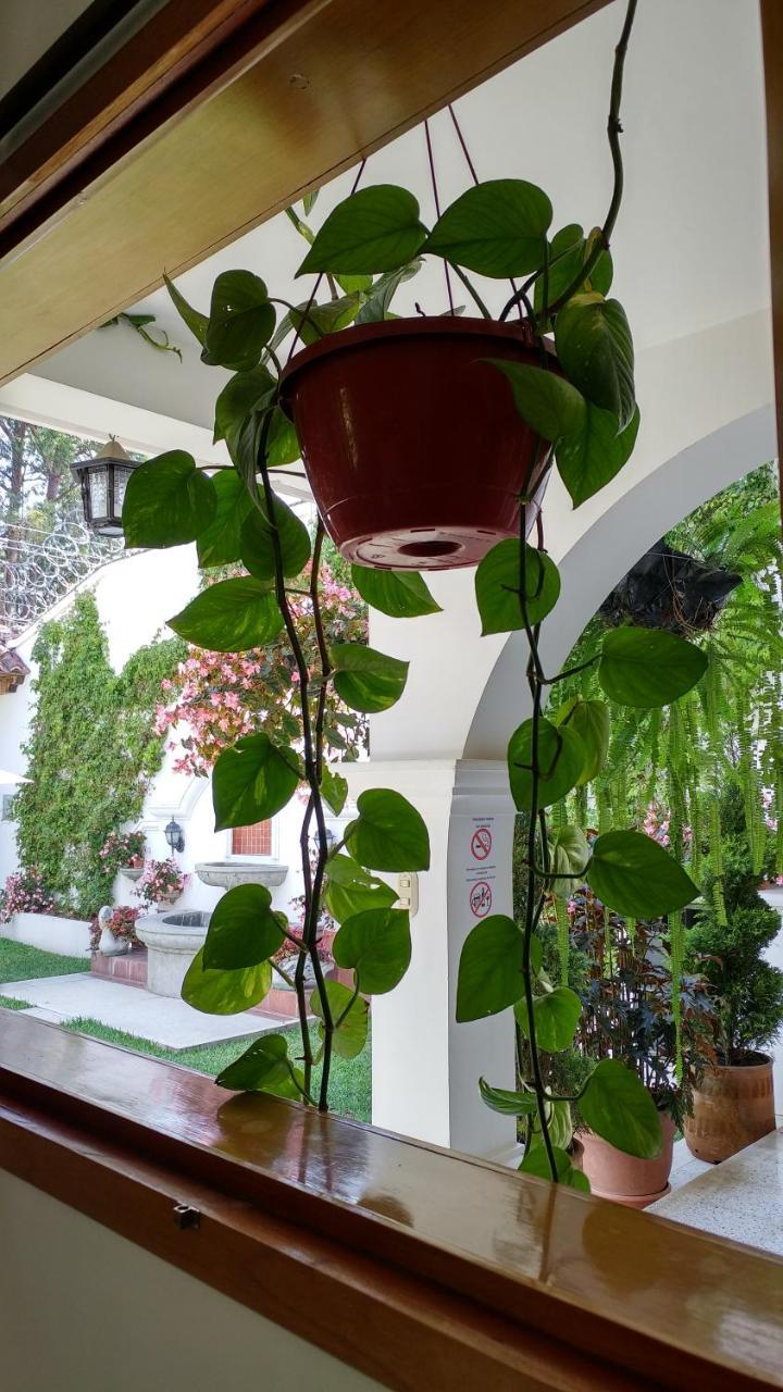 Ixkanul Antigua Hotel Екстер'єр фото